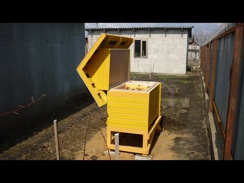 Как сделать улей для пчёл – инструкция по изготовлению своими руками