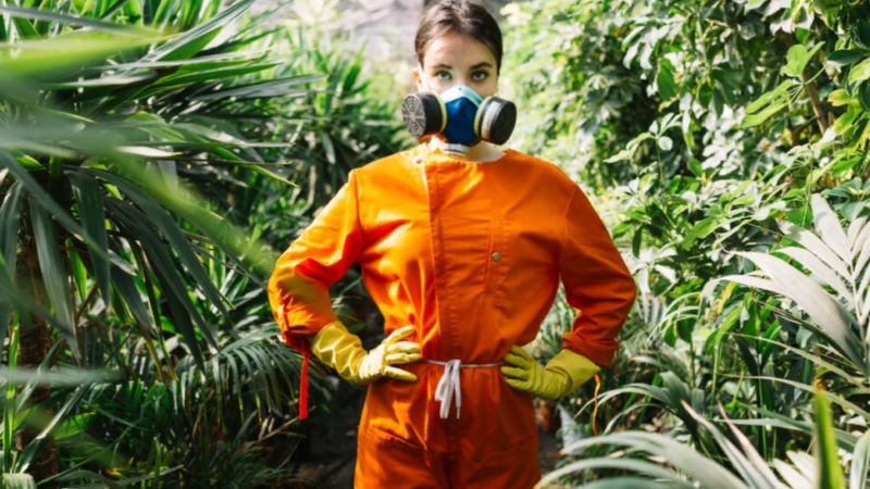 Безопасный сад: Эффективные методы устранения муравьиного нашествия