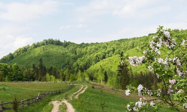 Поселок флора мое пространство